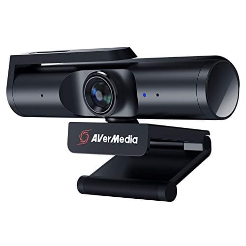 AVerMedia Live Streamer CAM PW313C Webcam