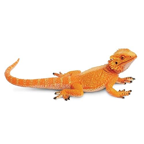 Figura del dragón barbudo de Safari Ltd Incredible Creatures