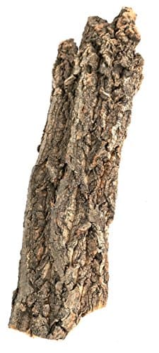 Cork Rounds | Cork Bark for Sale | Reptile Wood | Pangea - Pangea ...