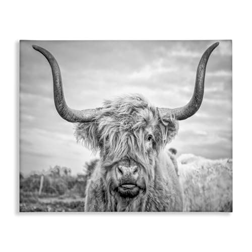 Stupell Industries Black and White Highland Cow Photograph Metallic ...