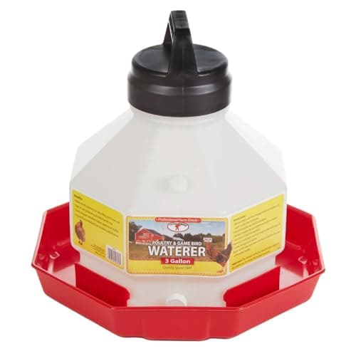 Buy Little Giant 3-Gallon Heavy-Duty Plastic Gravity Fed Poultry ...