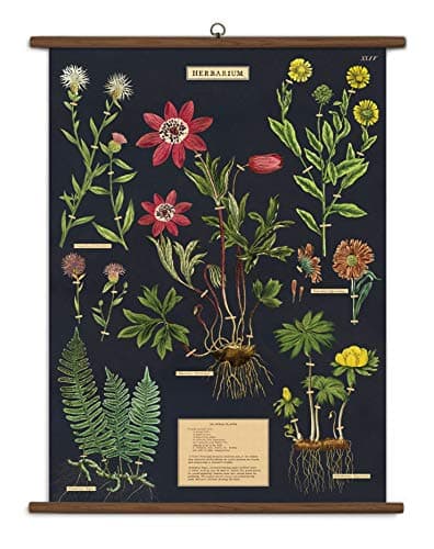 Cavallini Papers & Co. Cavallini Vintage Arboretum Hanging Poster Kit ...
