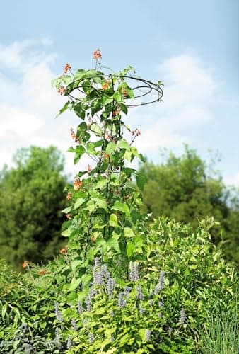 7' Essex Round Trellis for rose pillar Obelisk Trellis, Garden Obelisk ...