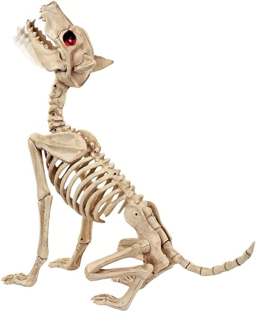 Amazon.com: Crazy Bonez Skeleton Dog - Beagle Bonez : Toys & Games