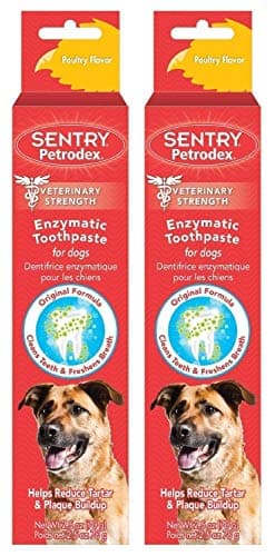 Sentry Petrodex Enzymatic Dental Care Toothpaste for Dogs Peanut Butter ...