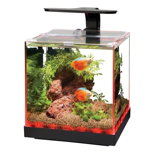 Aqueon Frameless Cube Aquarium Kit