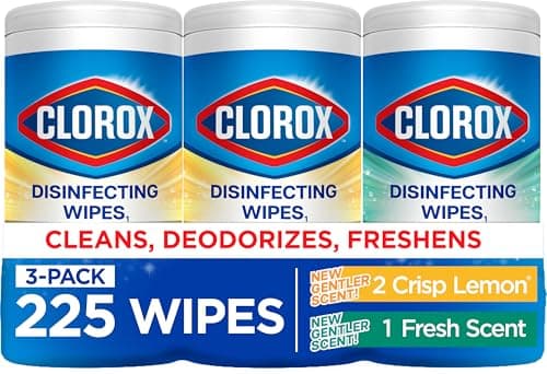 Clorox Disinfecting Wipes