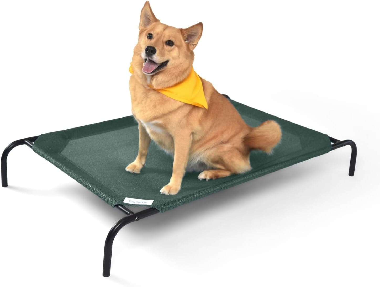 Amazon.com : Coolaroo Gale Pacific The Original Cooling Elevated Dog ...