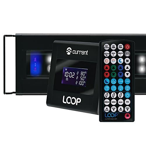 Soporte para lámparas LED Orbit IC de Current USA