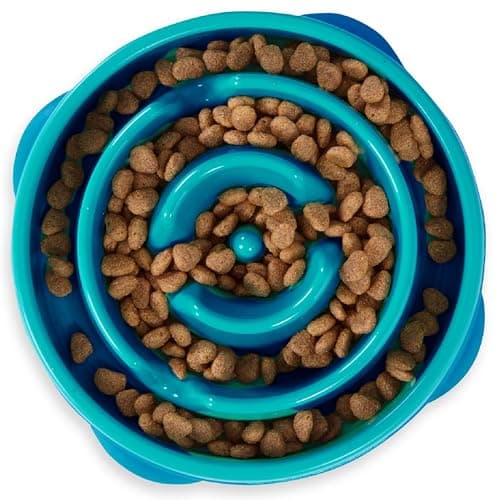 Outward Hound fun feeder slo bowl