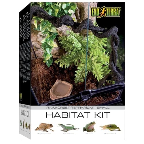 Exo Terra Rainforest Habitat Kit (Medium Glass Terrarium 18x18x24 ...