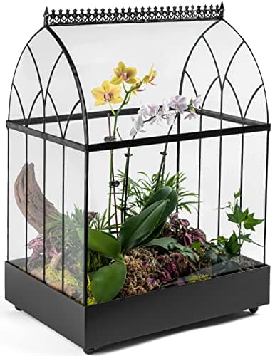 Tabletop Metal Wardian Case Glass Terrarium H Potter