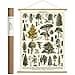 Amazon.com: Cavallini Papers & Co. Cavallini Vintage Arboretum Hanging ...
