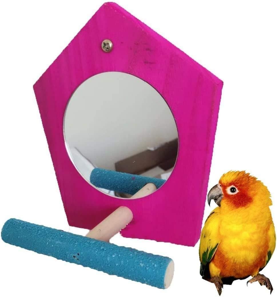 Mirror Toys For Birds at Martin Clark blog