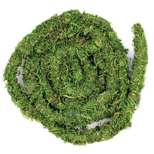 Galapagos Decorative Terrarium Vine with Leaves