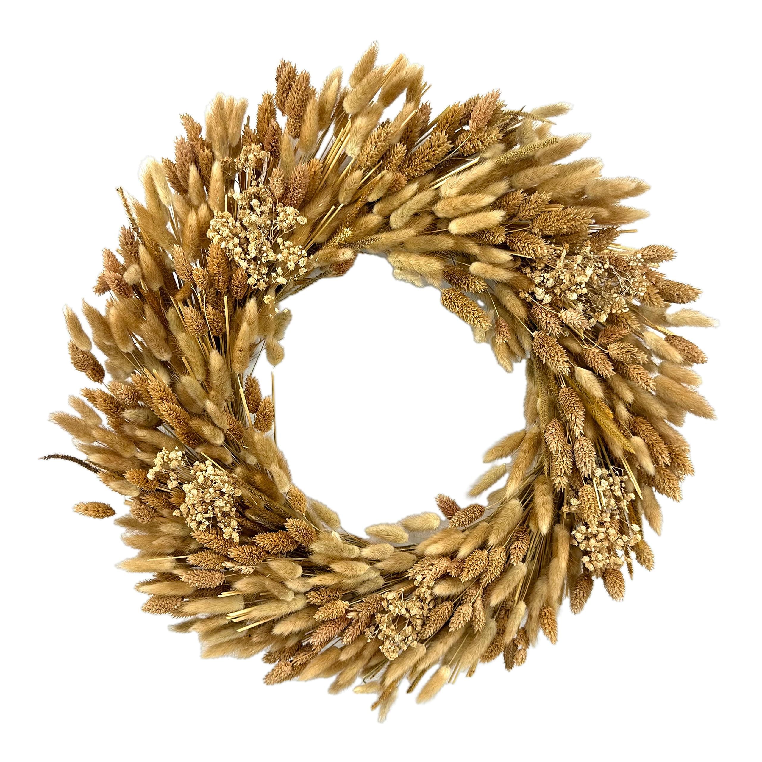 Amazon.com: Galt International 21" Preserved Golden Natural Dried Lush ...