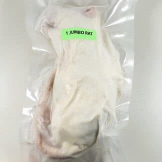 Jumbo Rats (1/Pack) - Perfect Prey