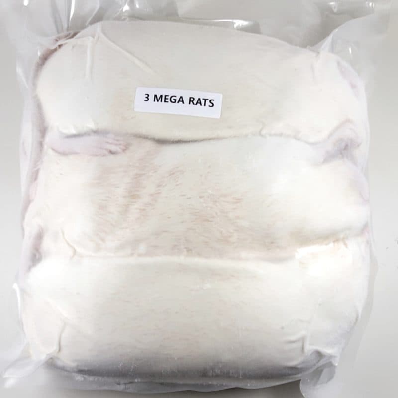 Frozen Rats for Sale - Perfect Prey Frozen Feeder Rats
