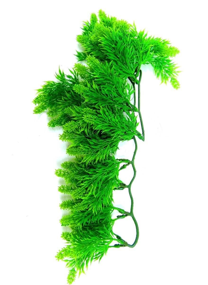 ZOOMED MALAYSIAN FERN M roślina wisząca | sklep terrarystyczny reptility.pl