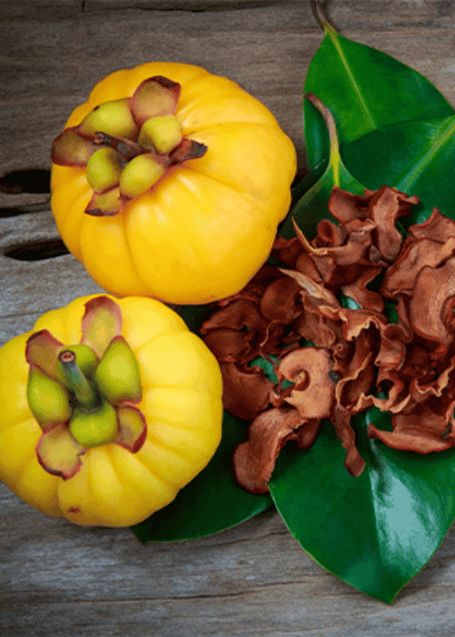 Garcinia Cambogia HCA – Sristi Biosciences