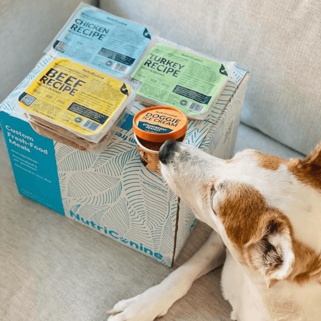 NutriCanine Fresh Dog Food - Well Made in États-Unis