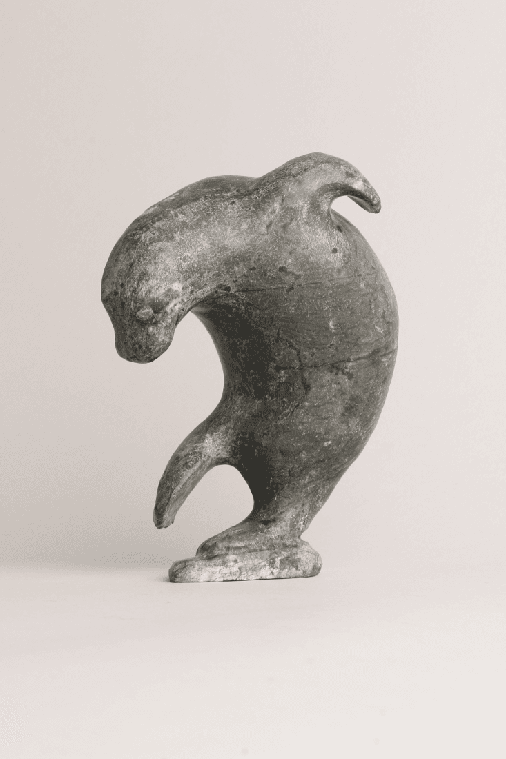 Dancing Seal – Canadian Arctic Gallery