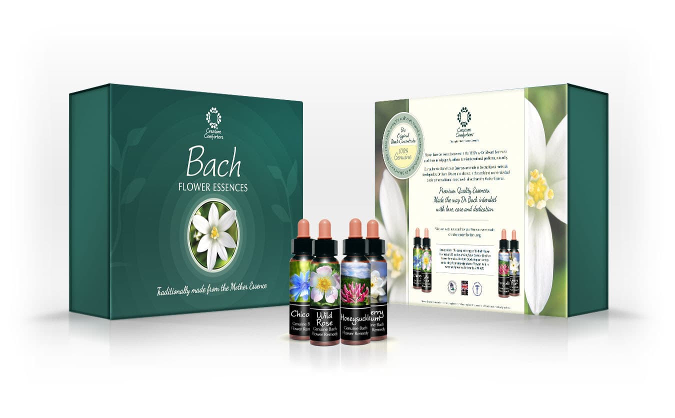 Healing Herbs Bach Flower Essences Set