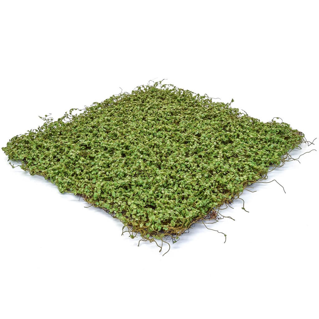 Buy Florian Artificial Indoor and Outdoor Living Wall Panels | EGM