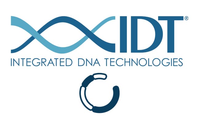 gBlocks Gene Fragments：人工遺伝子合成受託サービス | Integrated DNA Technologies 株式会社