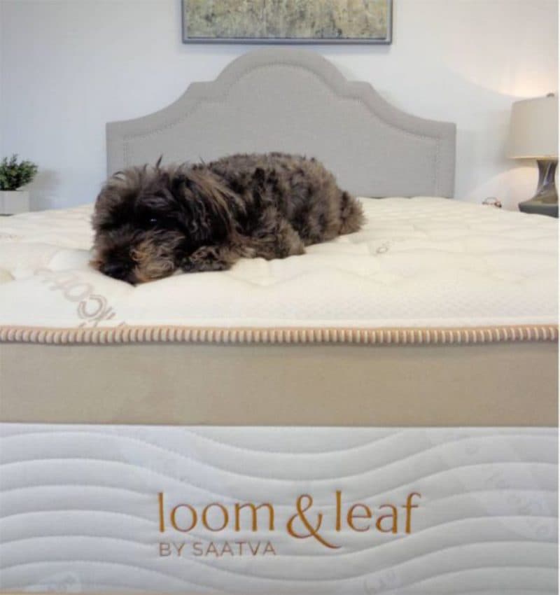 Loom and Leaf Mattress Review | The Memory Foam Bed of 2026