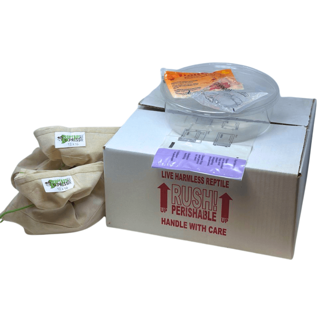 Reptile Shipping Kit - Reptiles Express - Discounted Fedex Shipping ...