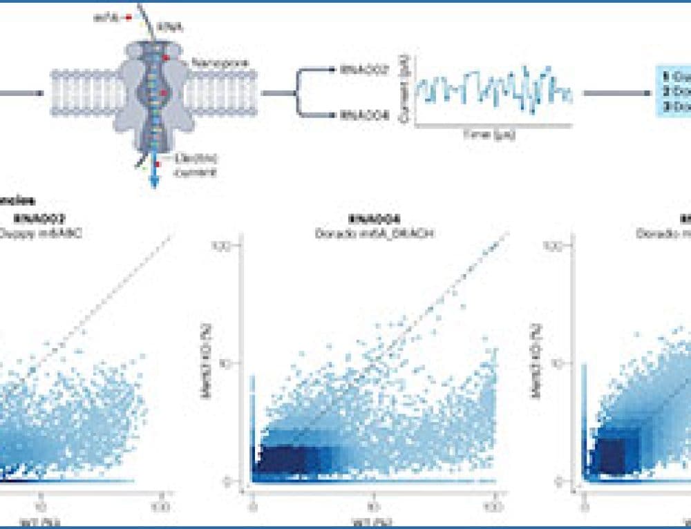 Single-Cell RNA Sequencing Analysis: A Step-by-Step Overview | RNA-Seq Blog