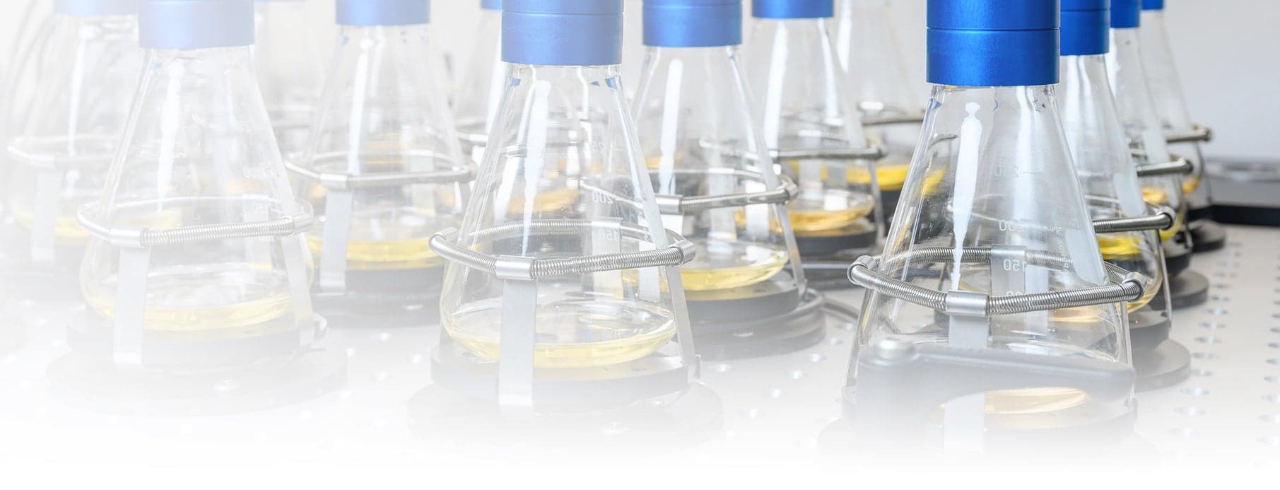 Scientific Bioprocessing - Cell Growth Quantifier (CGQ) for Biomass