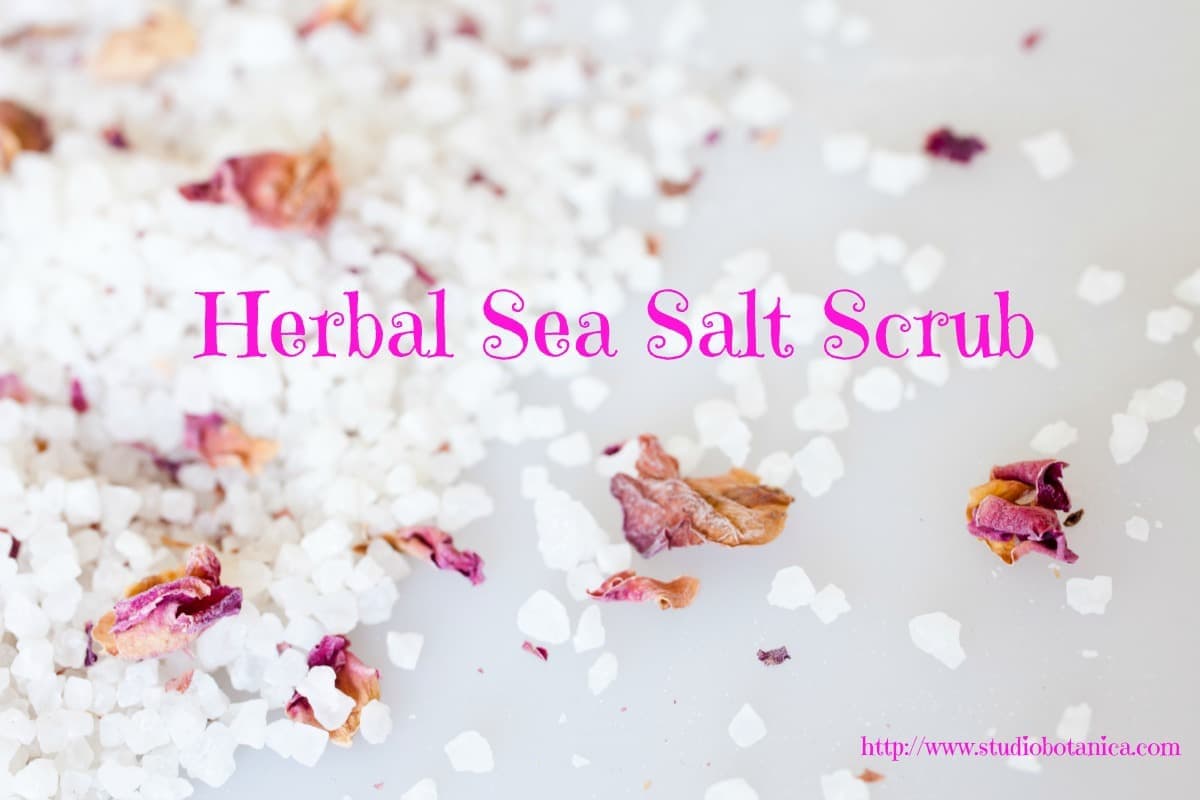 Herbal Sea Salt Scrub - Studio Botanica