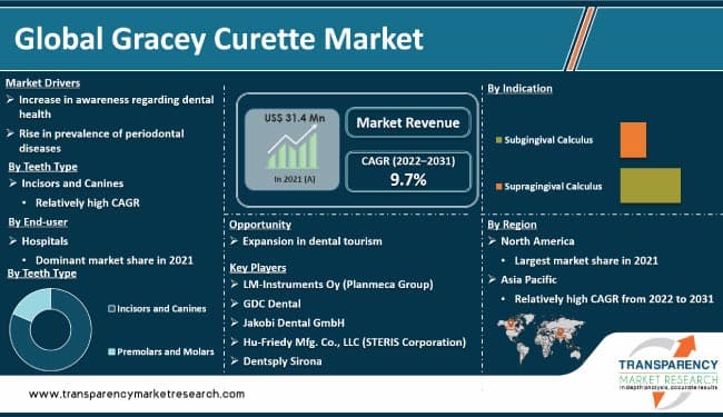 Gracey Curette Market Size, Growth Report | Forecast 2031
