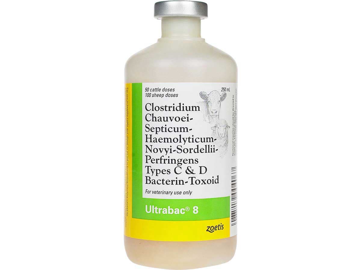 Ultrabac 8 Cattle Sheep Vaccine Zoetis Animal Health - CD T | Vaccines ...