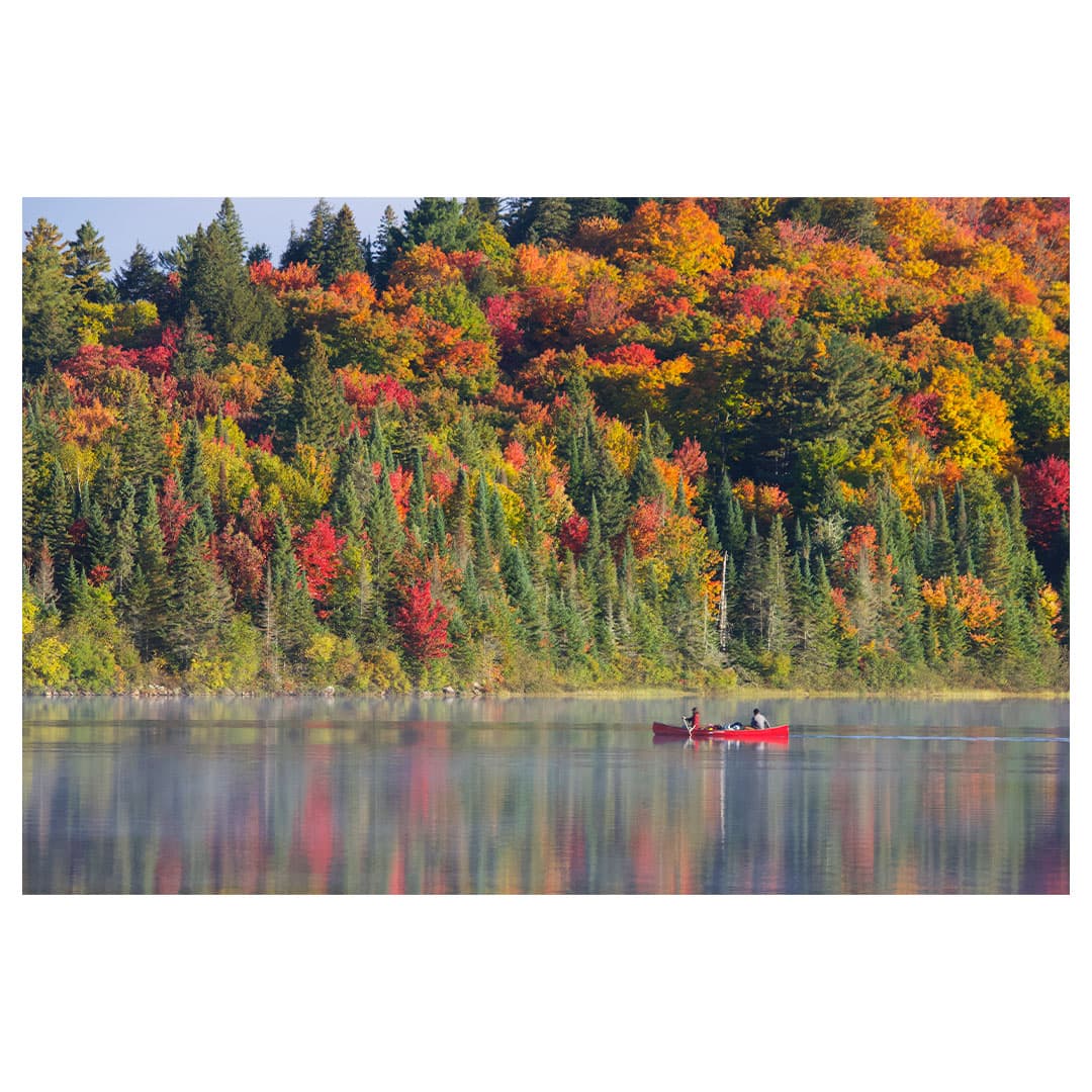 Fall In Algonquin | Algonquin & Beyond