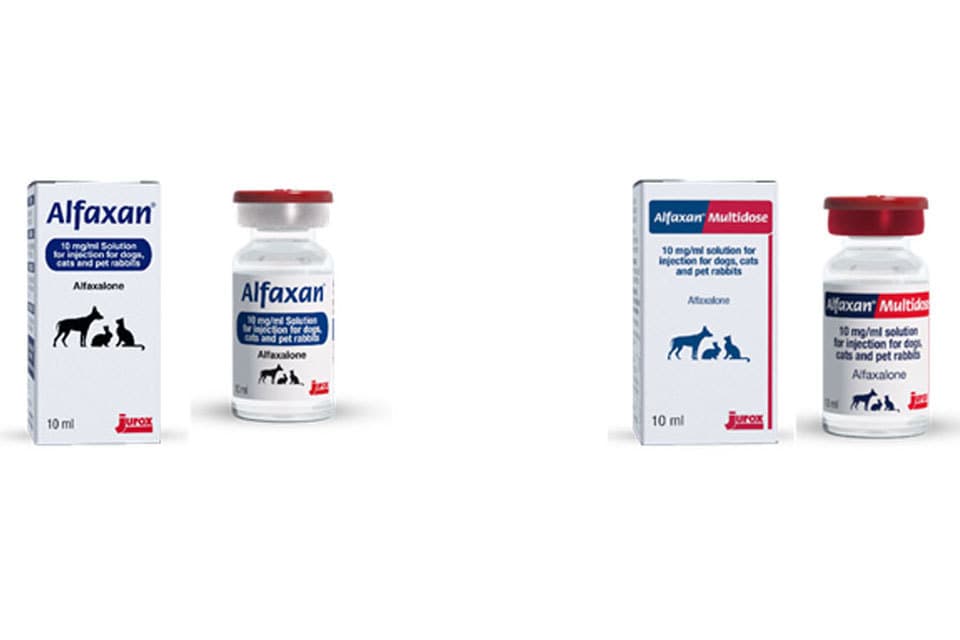 Alfaxan & Alfaxan Multidose 10mg/ml Solution for Injection - Product ...