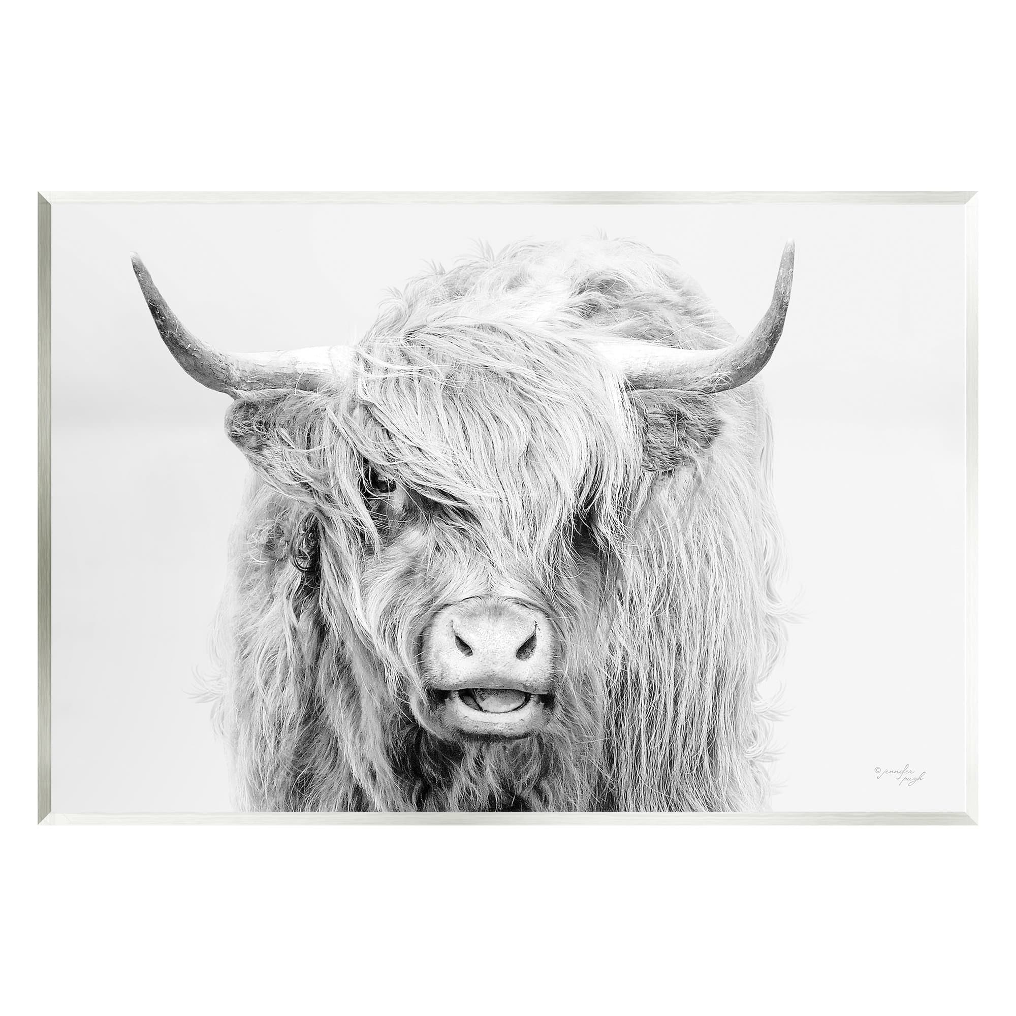 Stupell Industries Expressive Highland Cattle Monochrome Animal ...