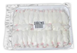 Frozen Rodent Adult Mice in Canada 2026 | Buy Frozen Adult Mice ...