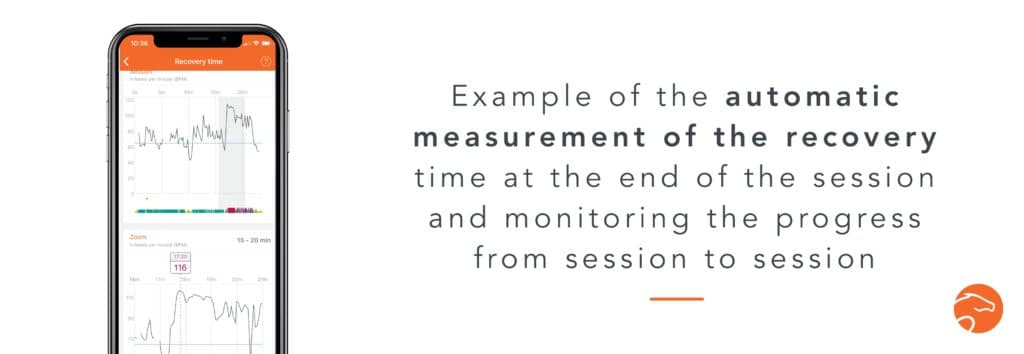 5 Reasons to Use a Heart Rate Monitor with Your Horse | Equisense - Blog