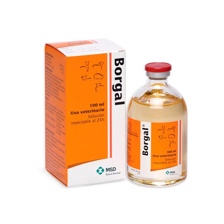 Borgal 100ml – Sulfadoxine + Trimethoprim | GIROVET