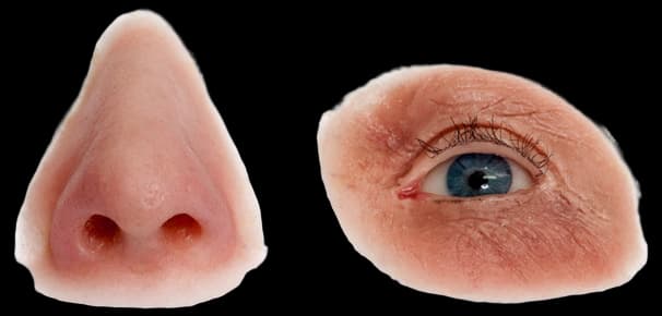CustomFlex Artificial Eye by BionicVision