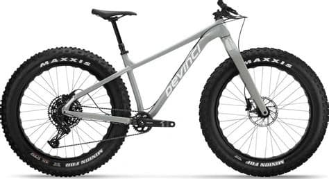 DEVINCI Minus NX | Primeau Vélo