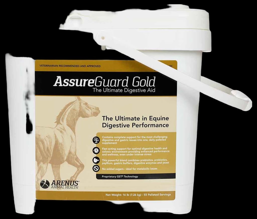 Valley Vet - Assure Guard Gold Digestive Aid for Horses Arenus Animal ...
