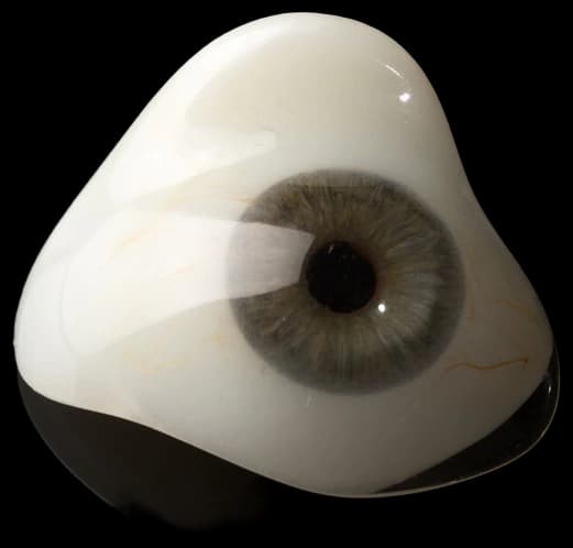 Scleral Shells – Pacific Eye & Facial Prosthetics Clinic