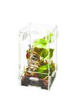 ZILLA Micro Habitat Arboreal Small - Roger's Aquatics & Pet Supplies