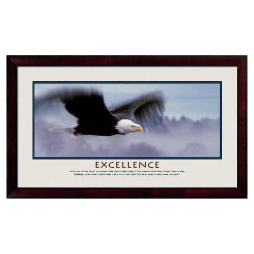 Excellence Eagle Motivational Poster | Successories