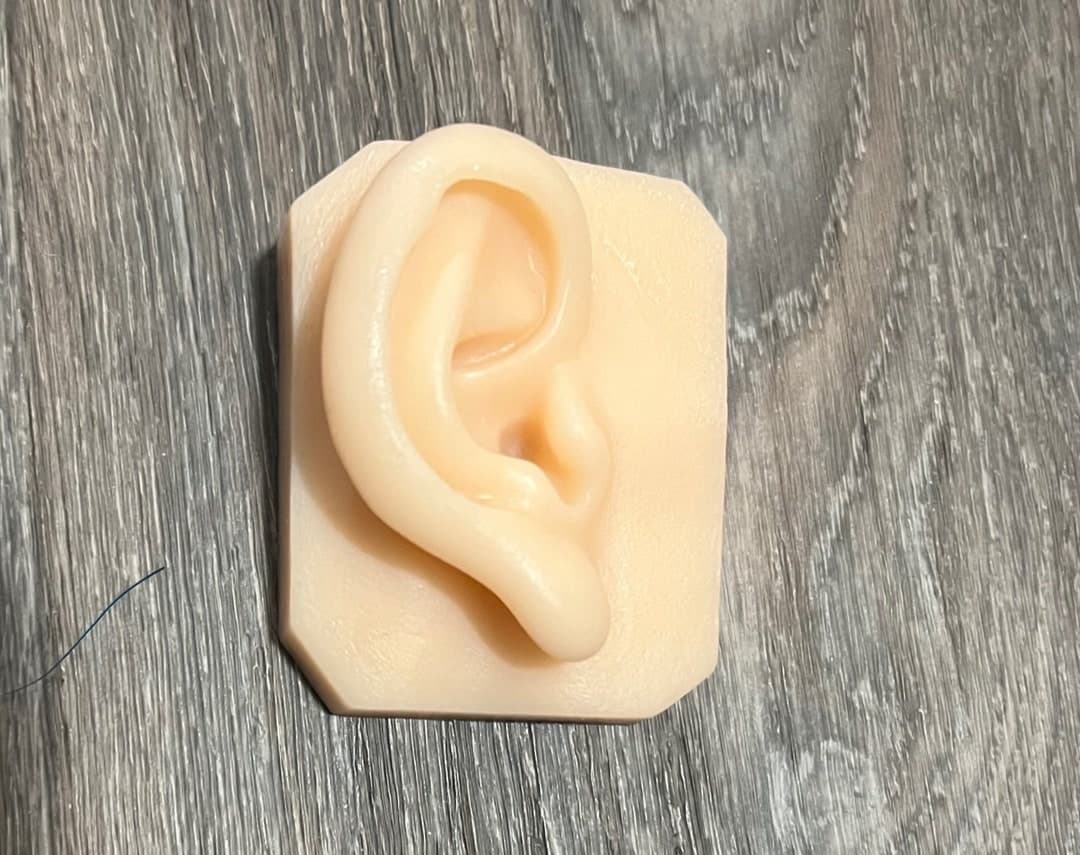 Lifelike Life Size Human Silicone Ears Prosthetic Jewelry Display ...