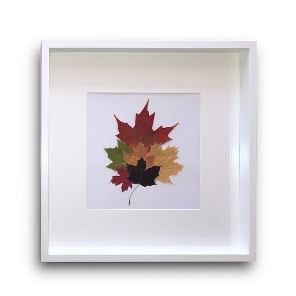 Pressed Leaf Art - Etsy